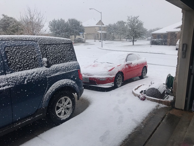 First time I've seen actual snowfall in Texas